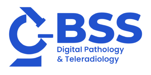 BSS Ltd Logo